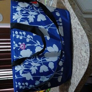 Igloo Insulated Tote Bag